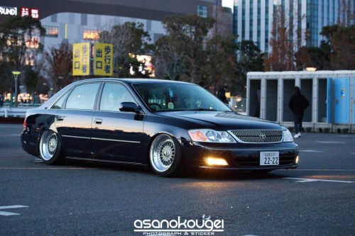 スタンスネーション出展決定 Aless Street アレスストリート